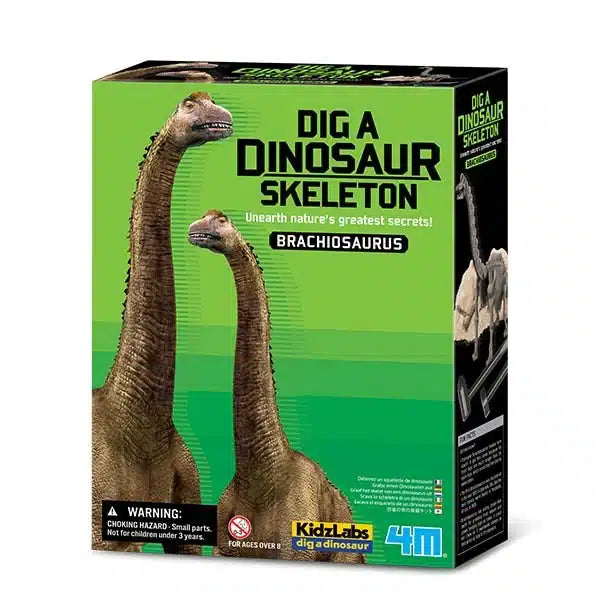 4M - kidzlabs - graaf je brachiosaurus op