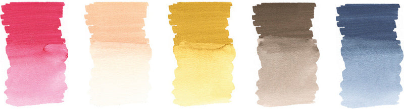 Faber Castell fc-160307 wk25aquarel marker fc albrechtdürer 5 stuks portrait