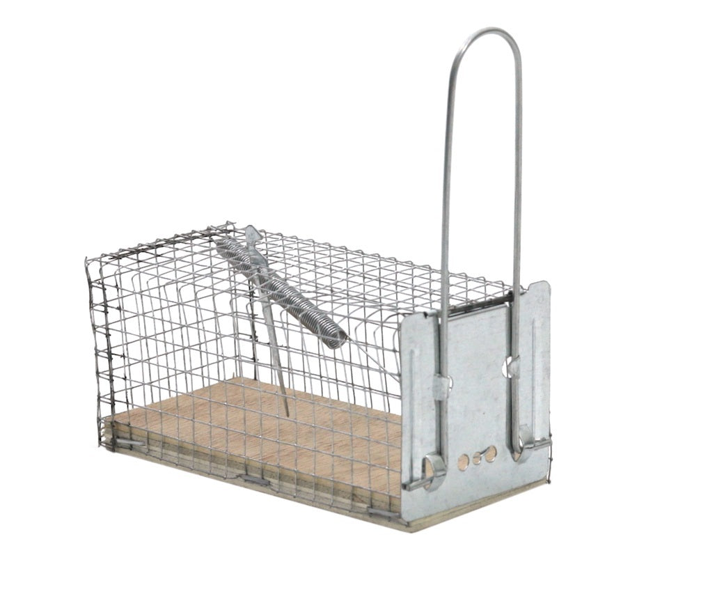 Protect Home Producten vangkooi muizen