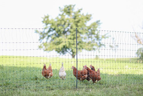AKO Producten poultrynet premium niet elektrificeerbaar 50m