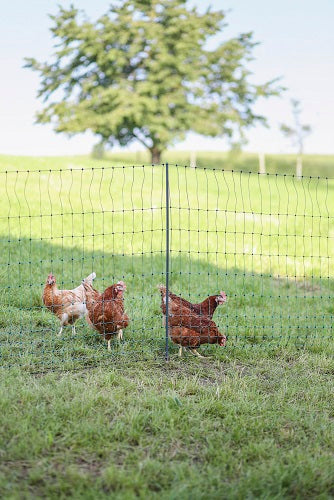 AKO Producten poultrynet premium niet elektrificeerbaar 25m