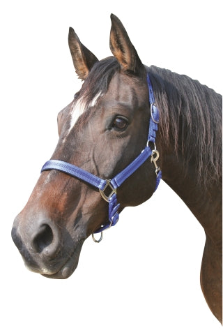 Abi Producten mustang halster 2x verst blauwzwart 1 pony