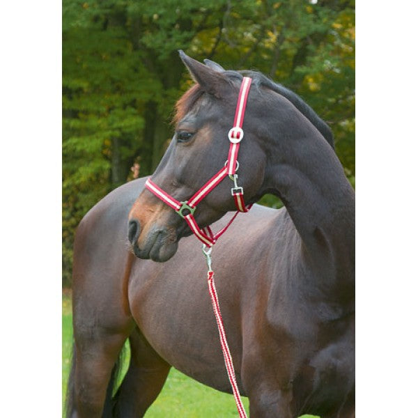 Abi Producten hippo halster bordeauxbeige 1 pony