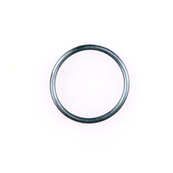 Gloria Producten o ring 501540
