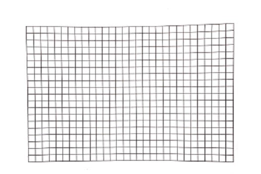Giardino Producten bologna draadpaneel 5x5cm x 150cm x 60cm ral 7016 antraciet