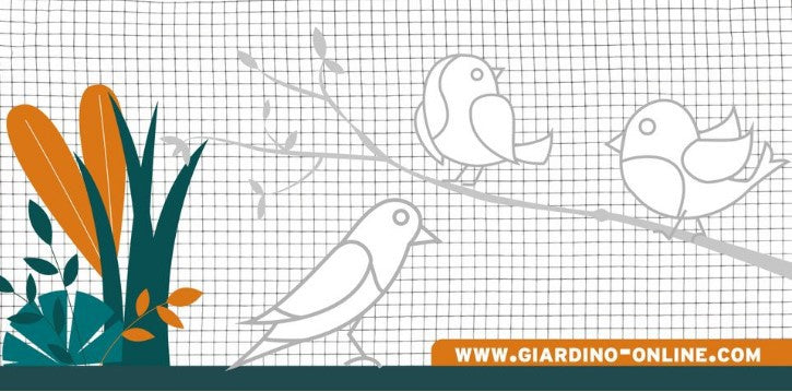 Giardino Producten gaas gelast verzinkt 127065 050m x 5m
