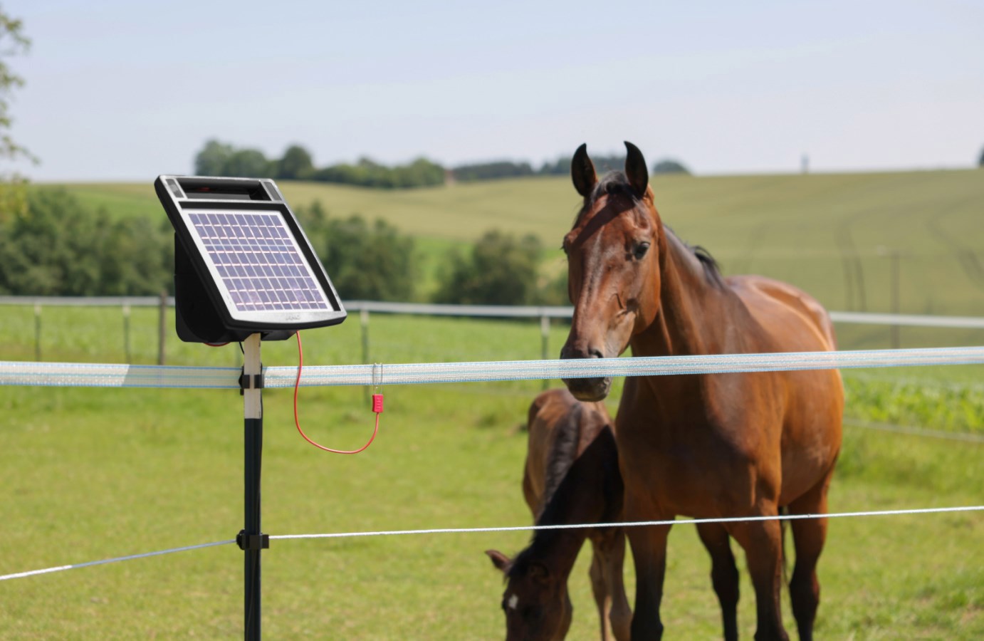 AKO Producten sun power s 6 schrikdraadapparaat met zonnepaneel