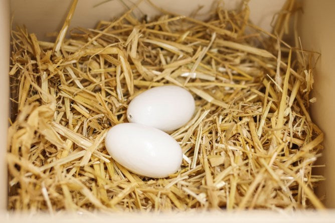 Kerbl Producten nesteieren van klei v kippen