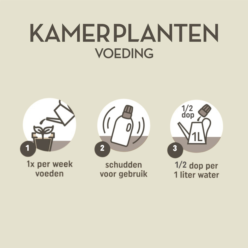 Pokon Producten kamerplanten voeding 500ml