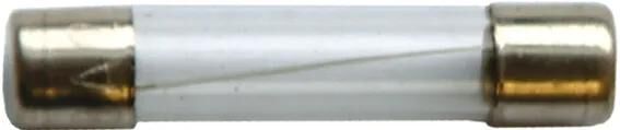 SPAHN glassicherung glass fuses 8a 6x32 mm (10pcs)
