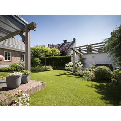 Kunstgras Casa Pura Cambridge Groen
