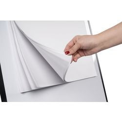 Flipoverblok Bi Office Euro 20 vellen
