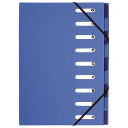 Sorteermap Exacompta 52982E A4 Lichtblauw