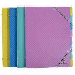 Sorteermap Exacompta 56190E A4 Kleurenassortiment
