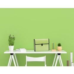 Sorteermap Exacompta 55989E A4 Kleurenassortiment