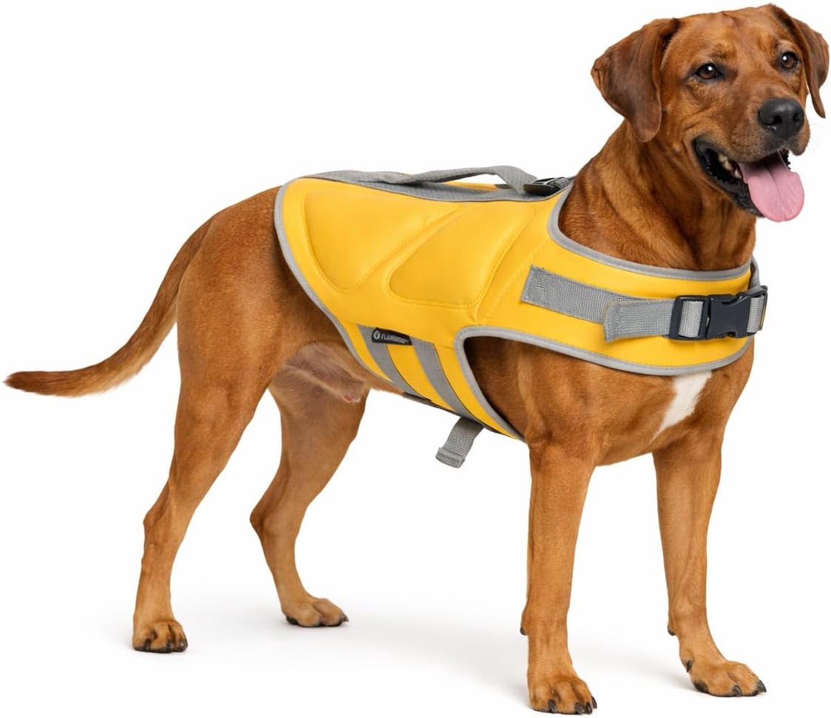 Flamingo Zwemvest hond – maat xl (46,5cm) – swimmy geel – extra drijfvermogen – verstelbare banden – handgreep