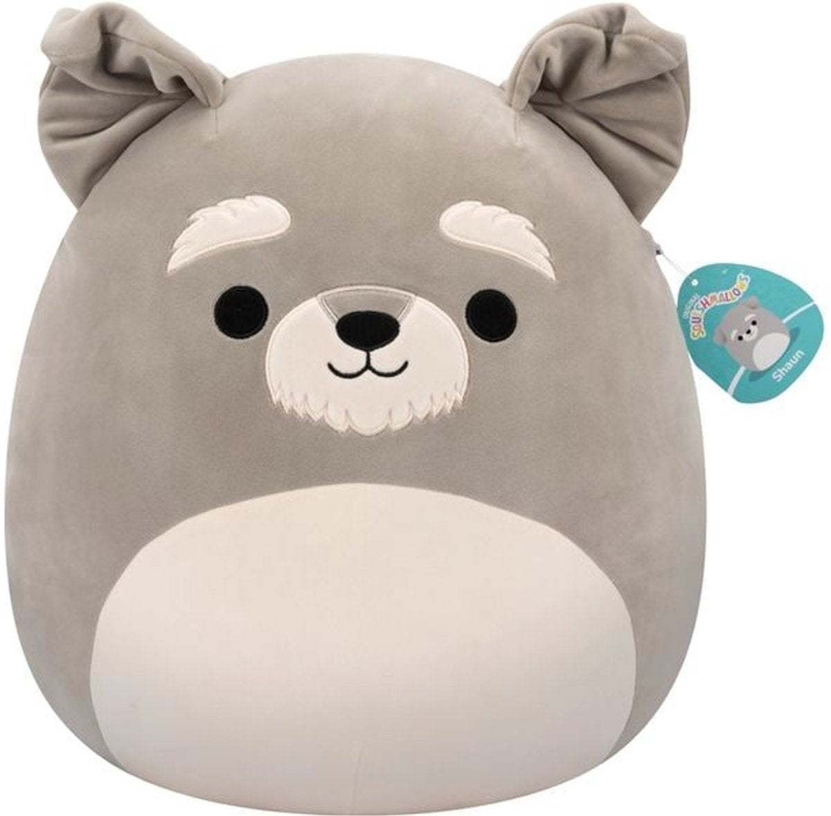 Squishmallows shaun schnauzer knuffel - grijs - 40 cm