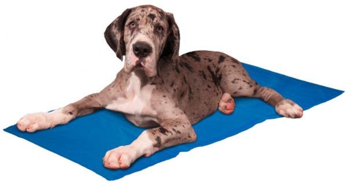 Flamingo Koelmat hond – frosty – koelmatten voor honden – koelmat kat – koelmat voor honden – koelmat voor katten – 120x80 cm – blauw
