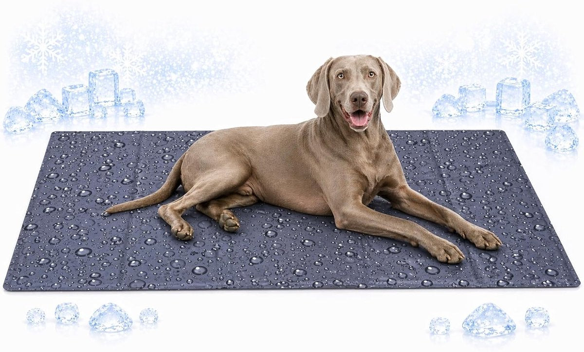 Flamingo Koelmat hond - koelmat kat - xxl - 120x80 cm - drop grijs - extra grote zelfkoelende mat voor honden en katten - waterdicht