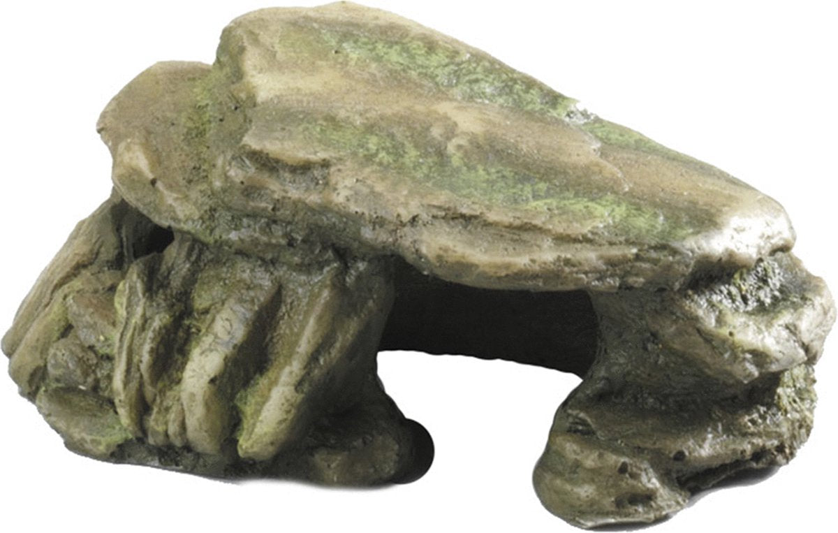 Aqua Della Ebi decor steen mosgroen mosgroen 150 mm
