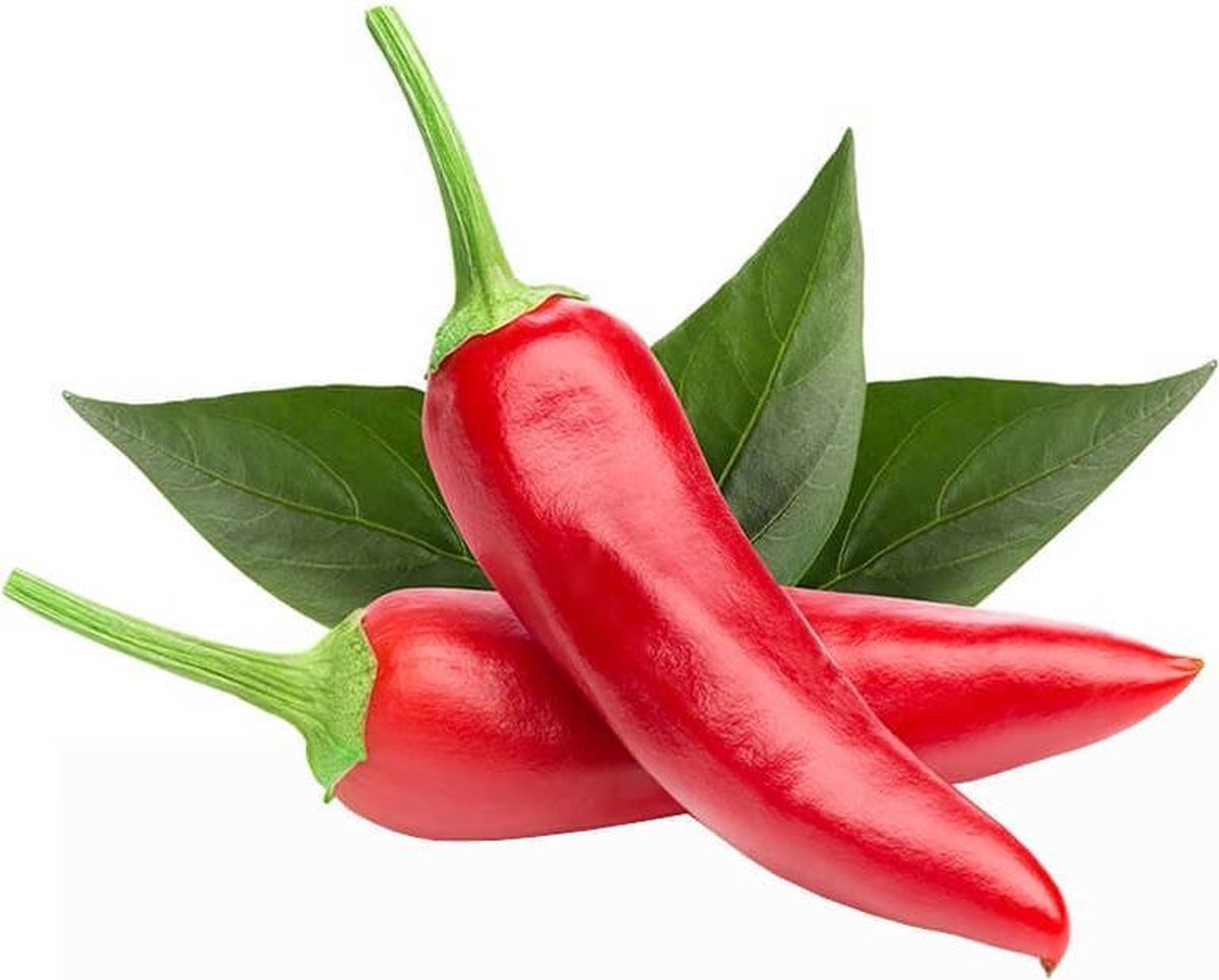 Click And Grow Click grow chili pepper refill (3-pack)
