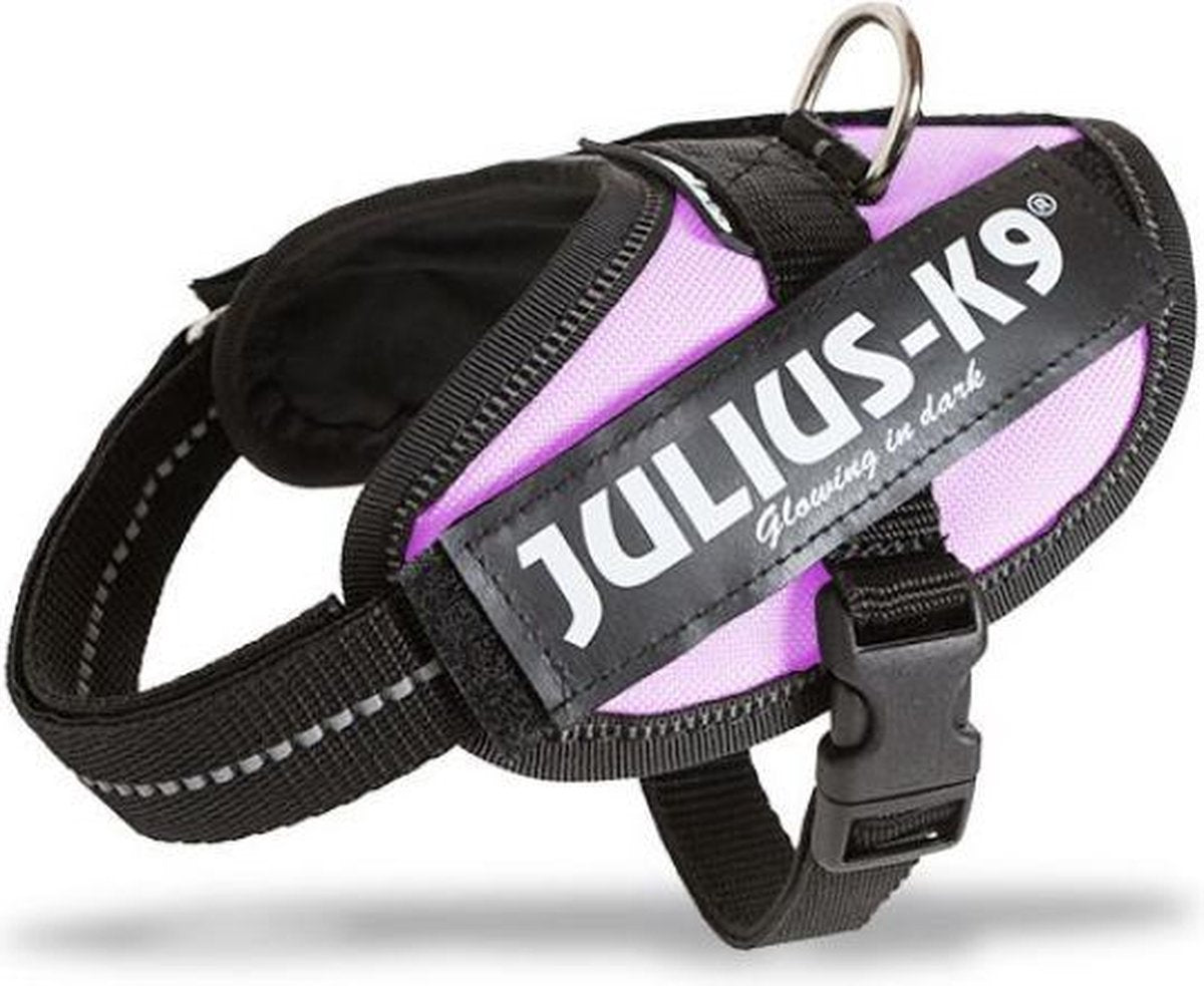 Julius K9 Wereld bekende idc powertuig voor tekstlabels roze maat: mini-mini