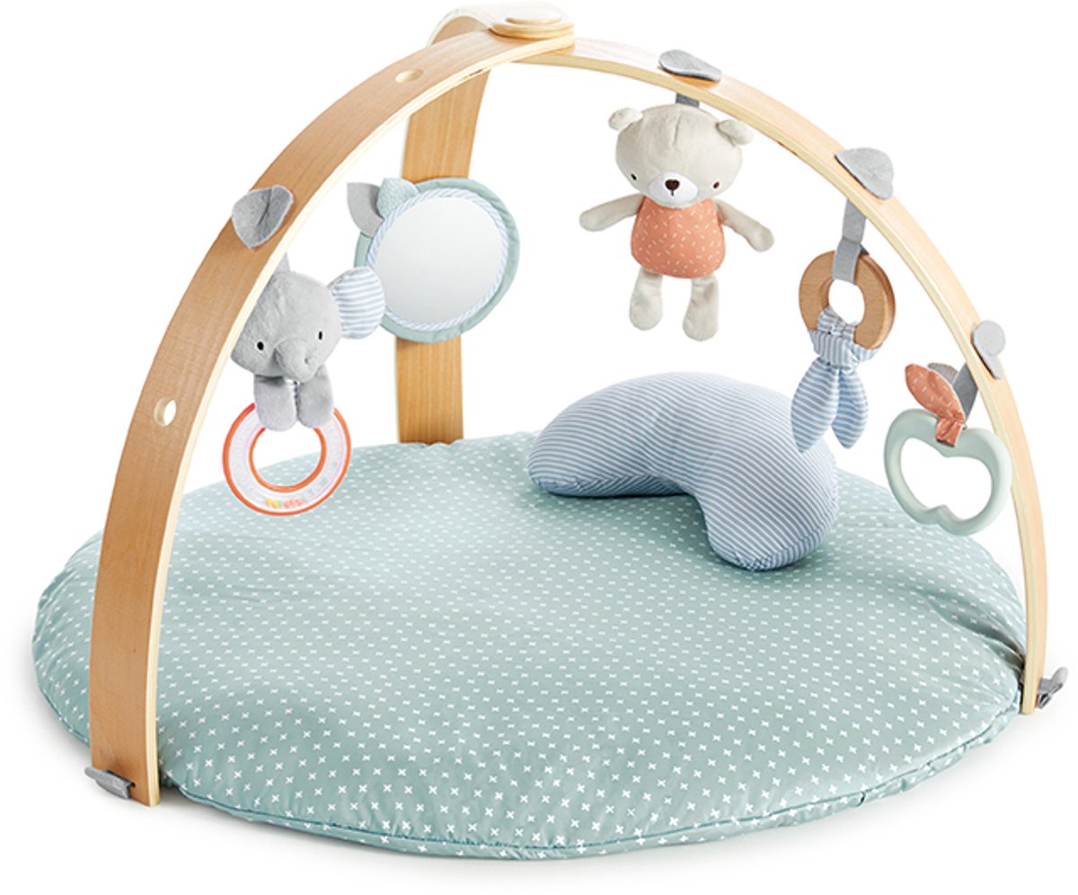 Ingenuity Baby activity gym loamy - - vanaf 0 maanden