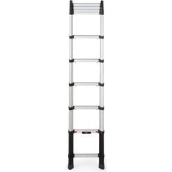 Ladder Telesteps 72230-581 3000 mm Zilver