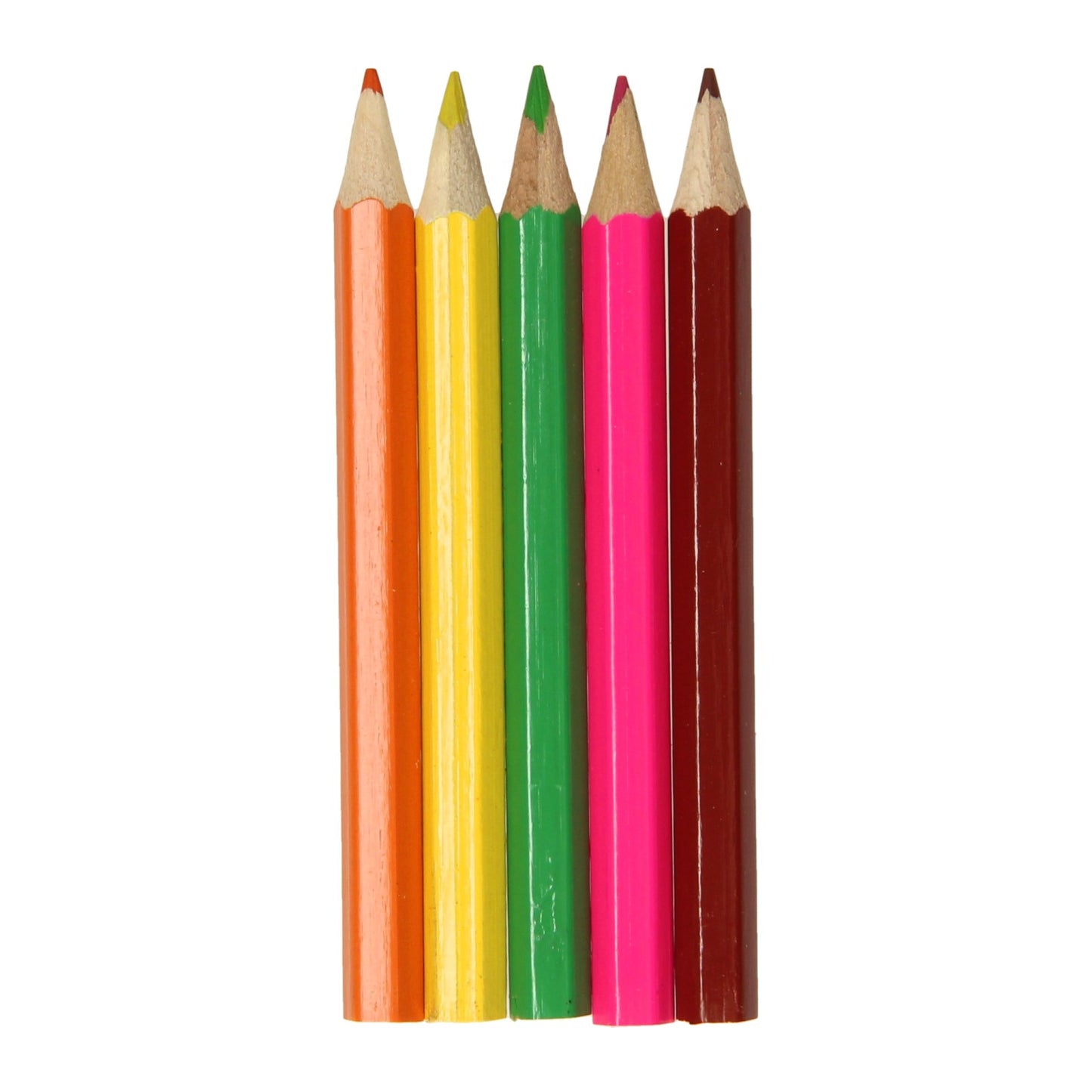 Duckiez Kleurpotloden wilde dieren, 6st.