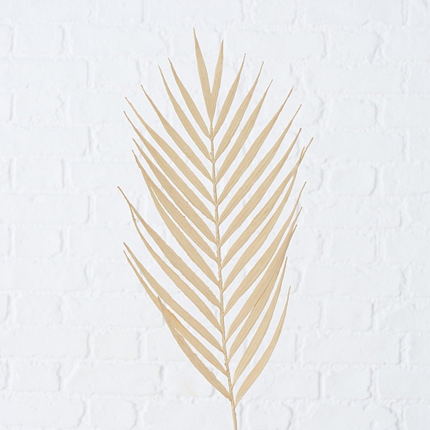 Boltze Home Kunsttak decotak 90cm palmblad naturel