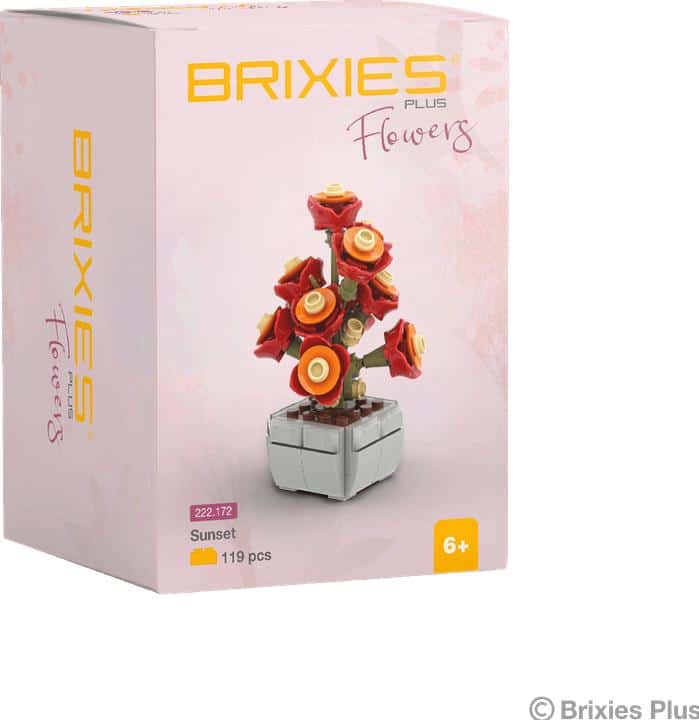 Oku Brixies plus flower sunset blossom bouwsteentjes