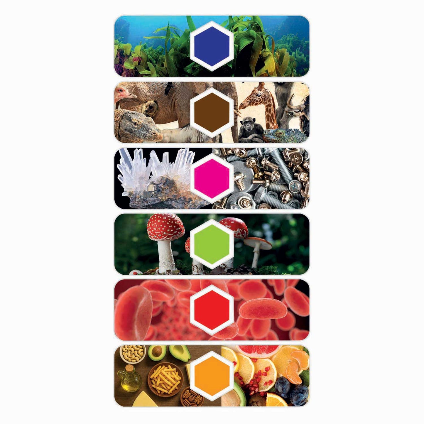Clementoni wetenschap spel microscoop smart