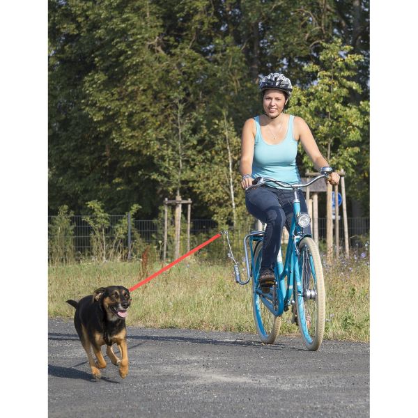 Messingschlager Springer honden-fiets-beugel