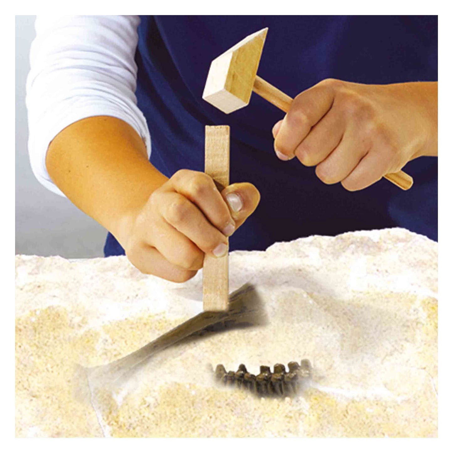 SES explore dino en skelet opgraven 2in1 - t-rex
