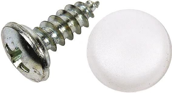 Dresselhaus nummerbordchroef no.-plate tapping screws 4,8x16 100pcs.