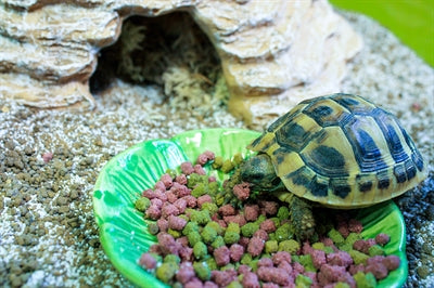 Happy Pet voerbak green leaf groen