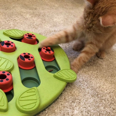 Nina Ottosson puzzle play buggin out groen