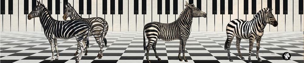 Rondo48 muziekje: Zebra 01 (Frére Jacque