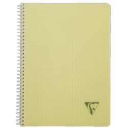 Spiraalschriften Linicolor 328125 A4 Assorti geruit