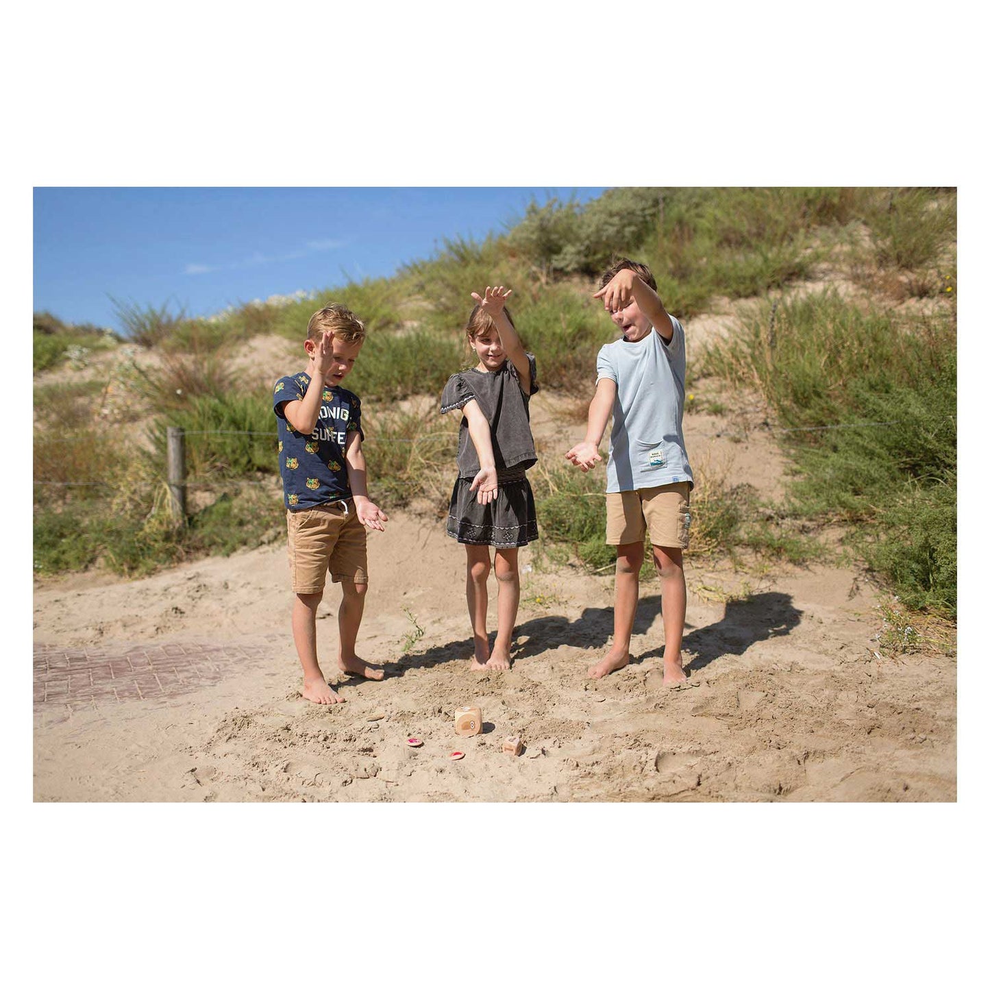 BS Toys vogels in actie hout - kinderspel