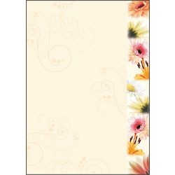 Design papier Sigel DP788 kleurenassortiment