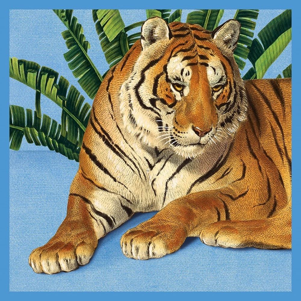 Kaart+envelop Tijger. 16x16 cm