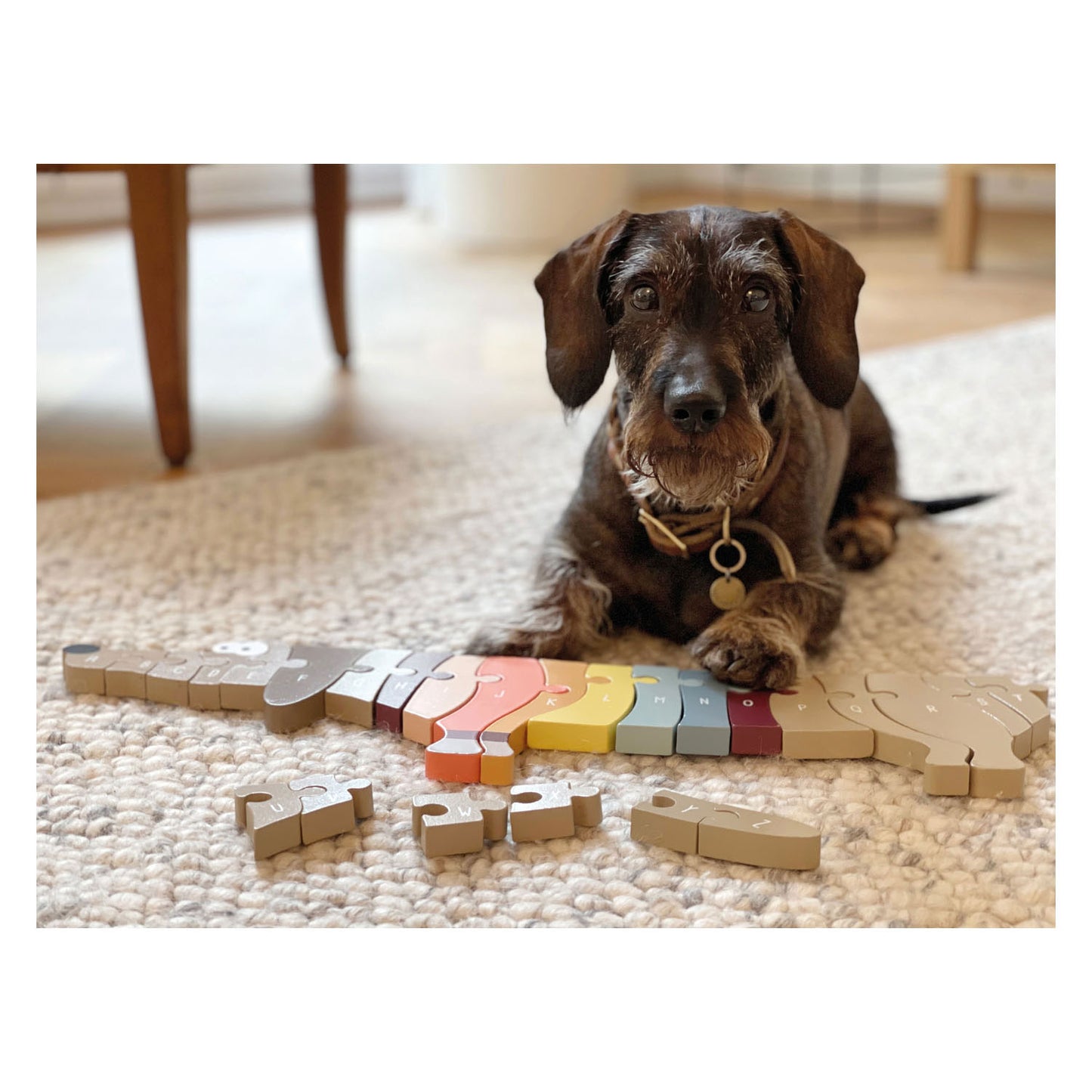 Small Foot - houten letter- en vormenpuzzel hond, 26st.