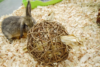 Nature First Happy pet speelbal wilg