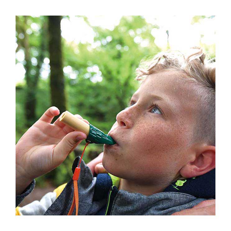 Hape Naturdetektiv-set