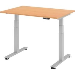 Bach Zit-sta bureau hammerer beuken 120x80x127cm