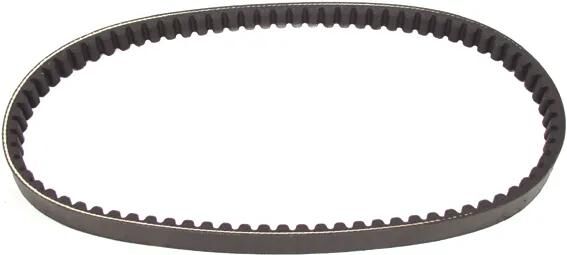 Polini keilriemen verstärkt v-belts verst. 18.5x802 mm