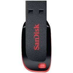 Ty Usb stick sandisk cruzer blade 128 gb zwart