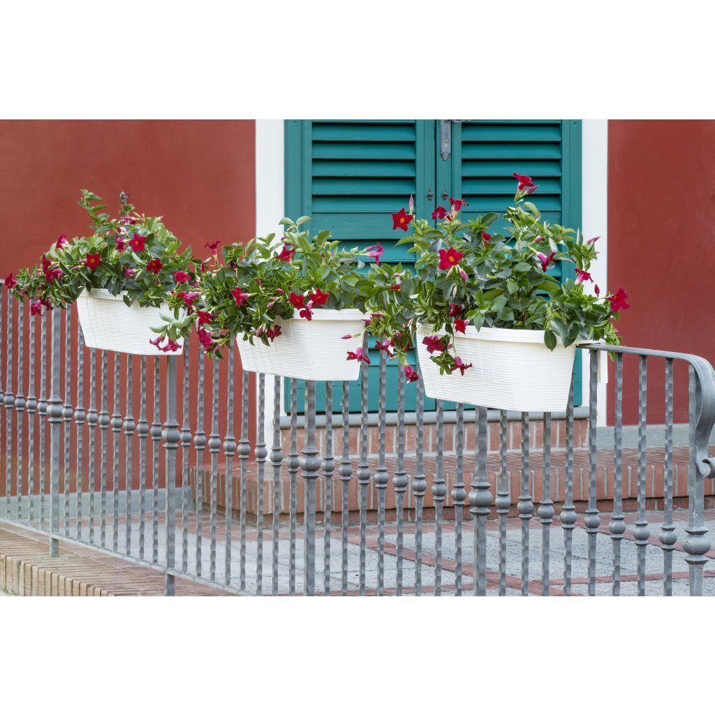 Bama fioriera bloem-balkonbak 60x20x18.5 cm wit