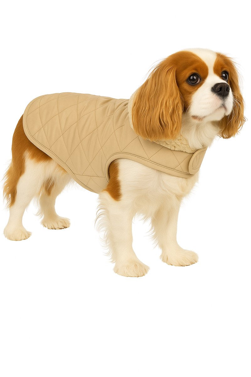 Flamingo Hondenjas – bonnie – honden jas – hondenjasjes winter – hondenjas waterdicht – 40 cm – a:40cm b:34-40cm c:54-60cm – beige